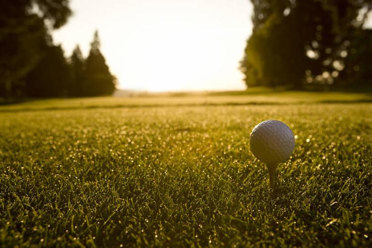 规划和球员 规划和球员